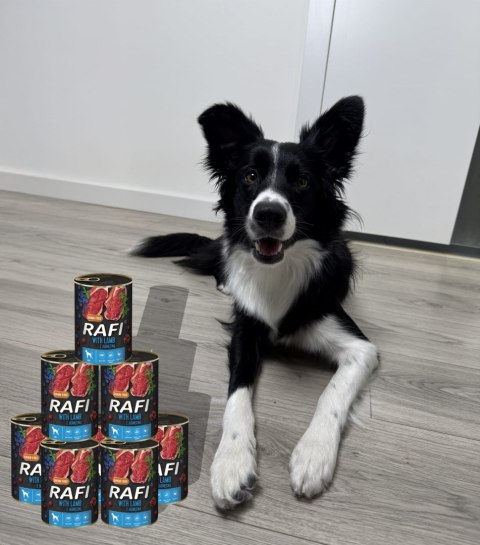 Karma Mokra Dla Psów RAFI z Jagnięciną, Borówką i Żurawiną 400g - 48 szt.