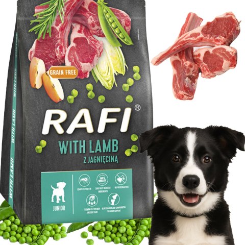 Sucha Karma Dla Psa RAFI JUNIOR z Jagnięciną 3 kg - 1 szt.