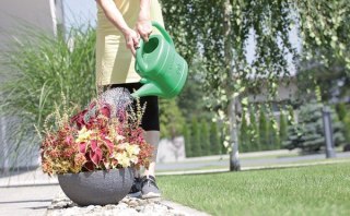 KONEWKA PLASTIKOWA 10L SPRING - ZIELONY