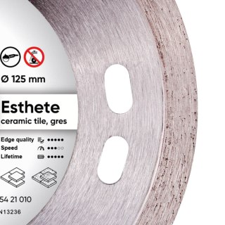 TARCZA DIAMENTOWA ESTHETE 125*1,1*8*22,23